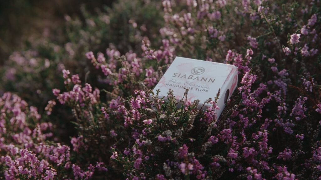 A still shot from the video series of a box of soap in a heather bush. 