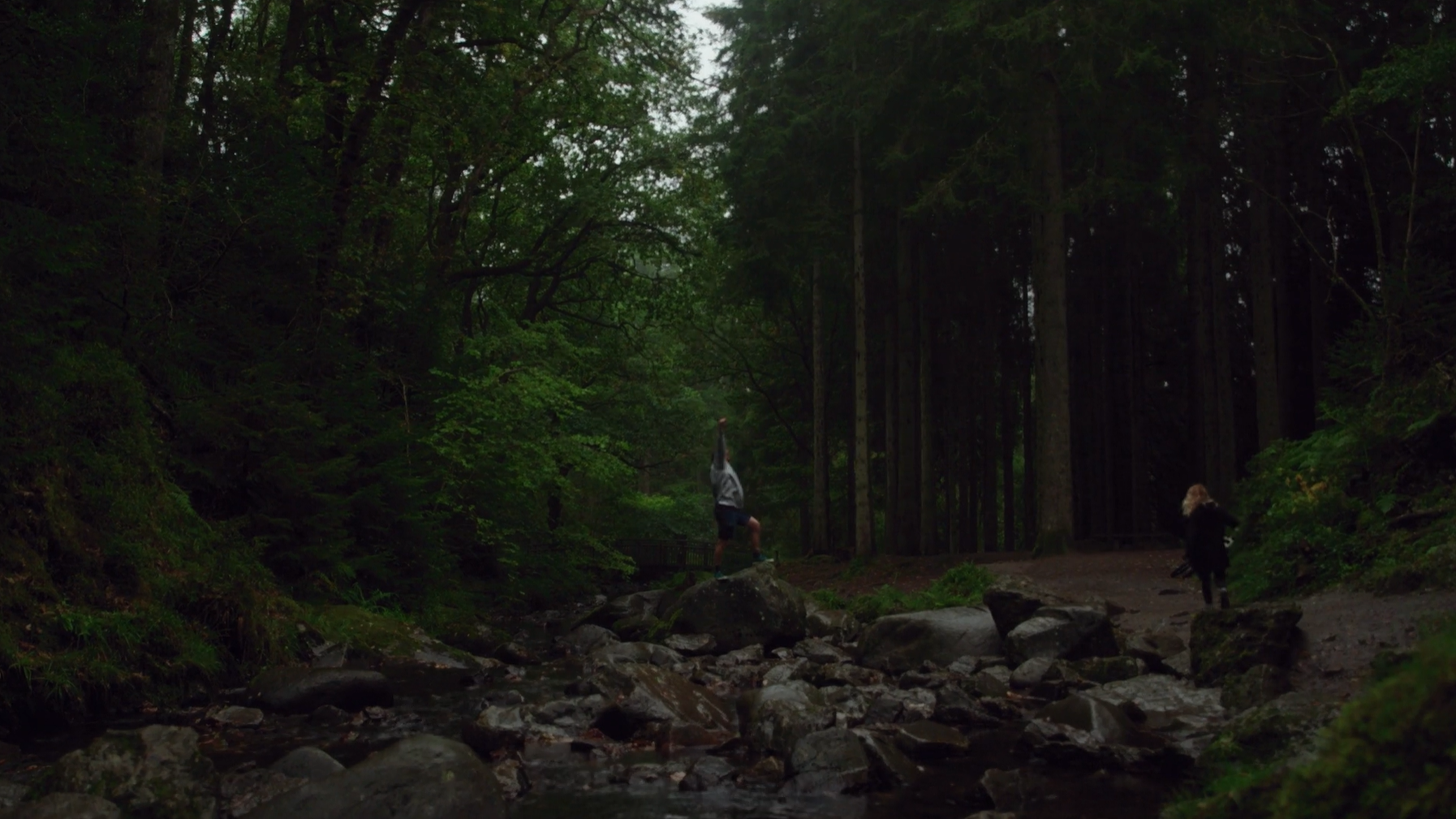 Still image of a forest taken from our film shoot.